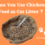 Image Showing Chicken Feed in bag Written Can you use chicken feed as Cat Litter
