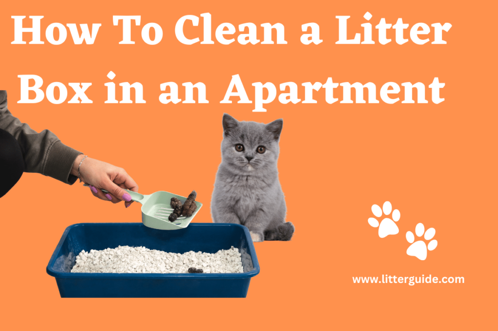 How-To-Clean-a-Litter-Box-in-an-Apartment.