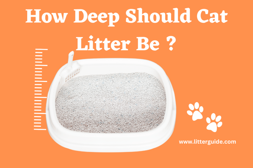 A graphic image showing a pile of cat litter inside a litter box with a measuring tape on top. The text "How deep should cat litter be? " is written in bold letters at the Top of the image.