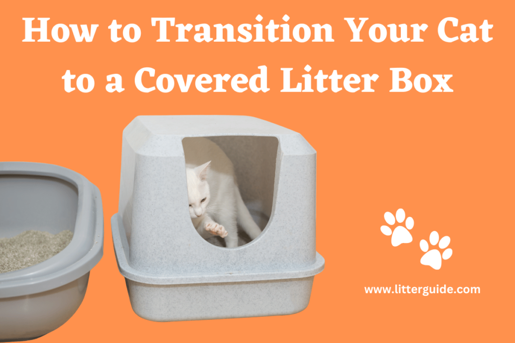 How to Transition Your Cat to a Covered Litter Box