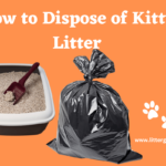 Image Showing Garbage Bag with Cat Litter Tray