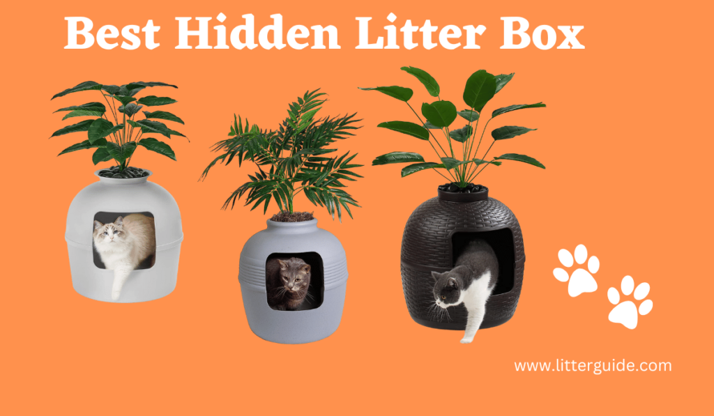 Best Hidden Litter Box