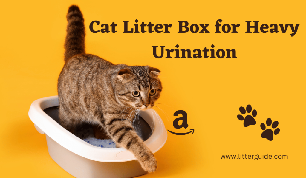 Cat coming out of litter box