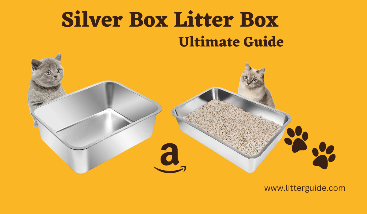https://litterguide.com/wp-content/uploads/2023/08/Silver-Box-Litter-Box.png